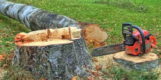 Mulching Services in Richboro, PA