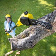 Best Grass Overseeding  in Richboro, PA