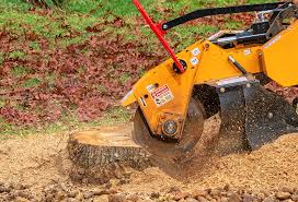 Grass Overseeding in Richboro, PA